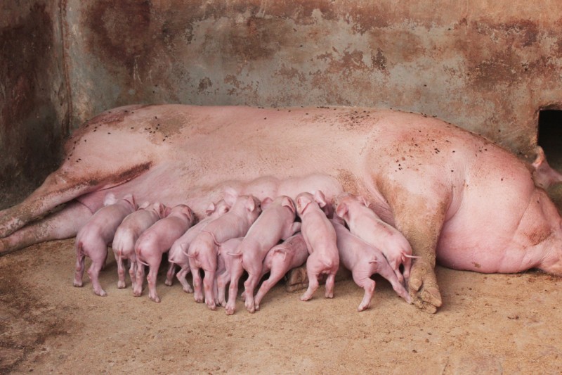 ĸ����������