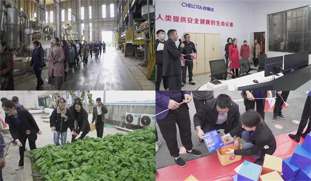 �������Ӽ�����j9����Ʒ��25������