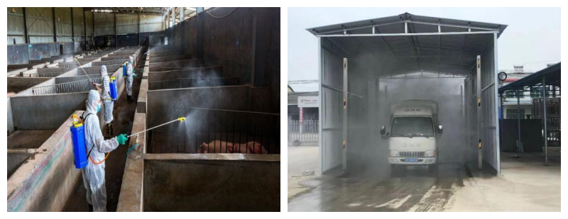 ǿ��������ɱ�ƶ�