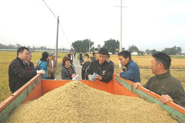 ��-������ѭ����ģʽ