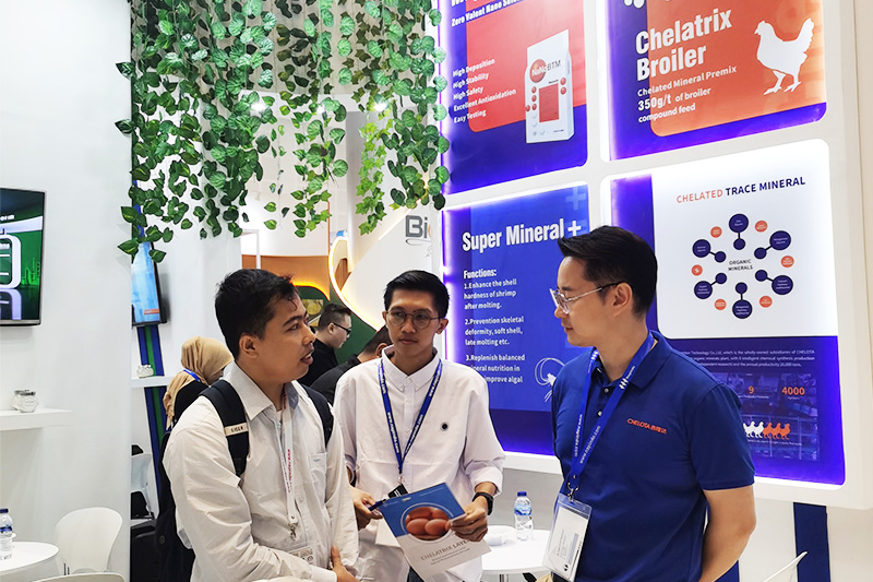 j9����Ʒ�ʲ�չӡ���������չ