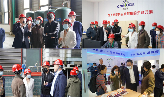 ͨɷݴιj9Ʒл΢Ԫع