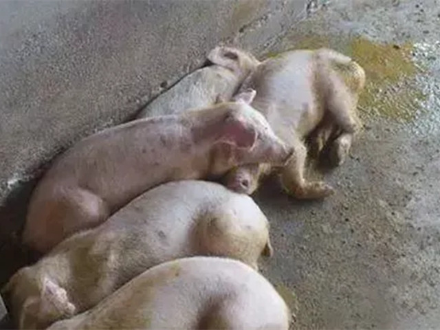 2022궬к֢״ղأ