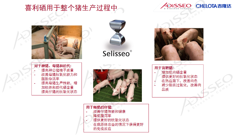 ͼƬ15