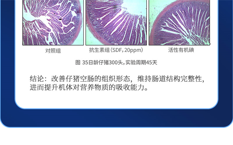 j9����Ʒ�ʶ������������Ӽ�����120��Ʒ����