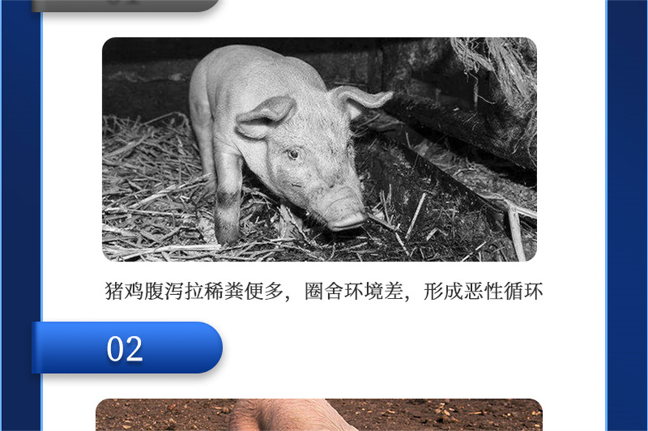 j9����Ʒ�ʶ������������Ӽ��������Ʒ����