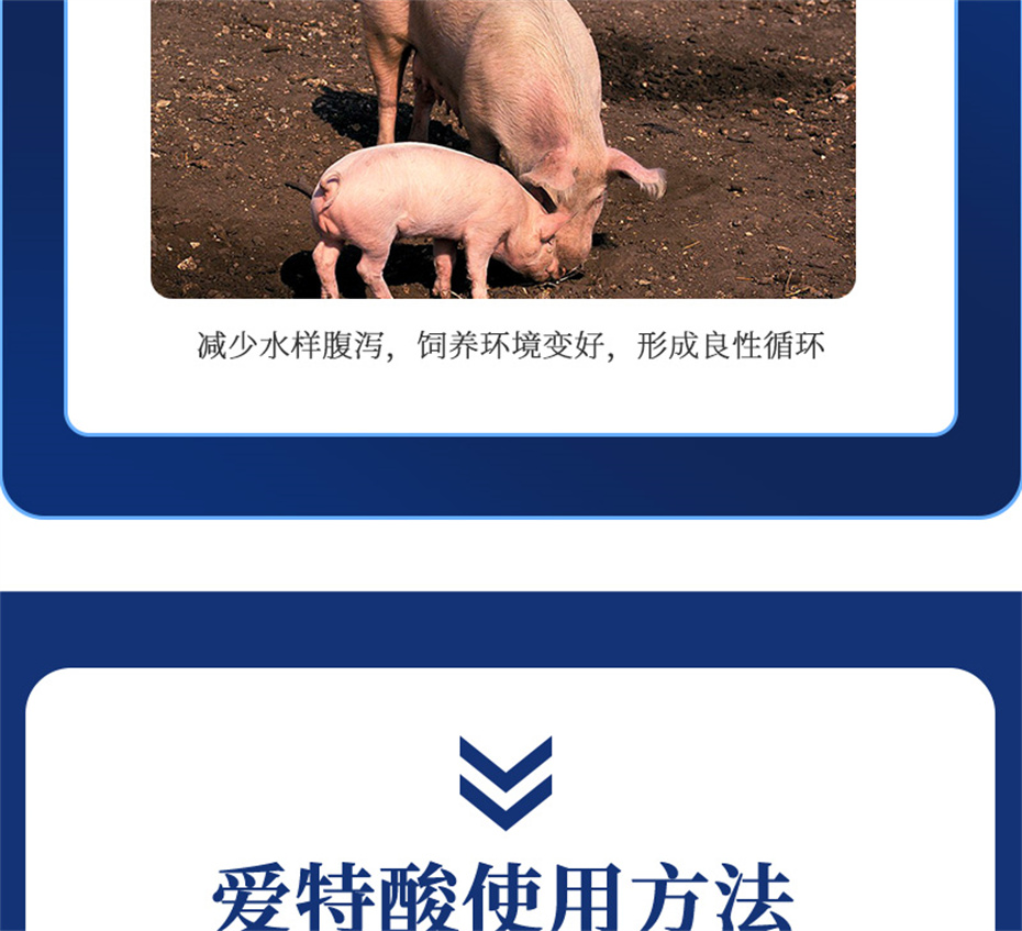 j9����Ʒ�ʶ������������Ӽ��������Ʒ����