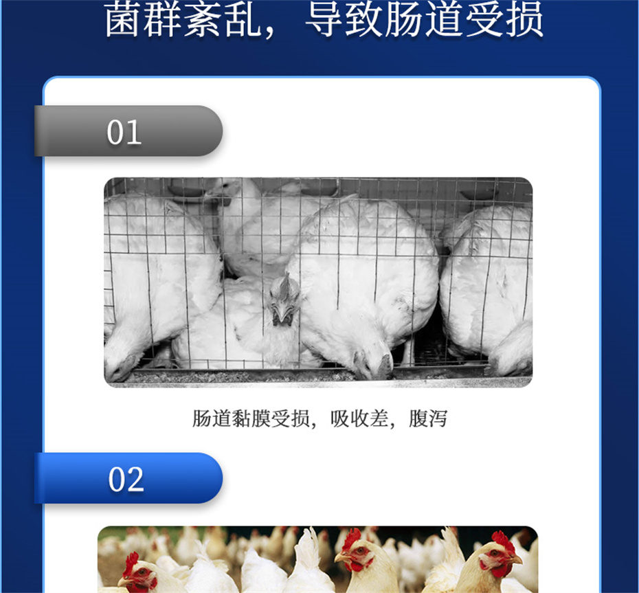 j9����Ʒ�ʶ����������Ӽ�����Ԫ��Ʒ����