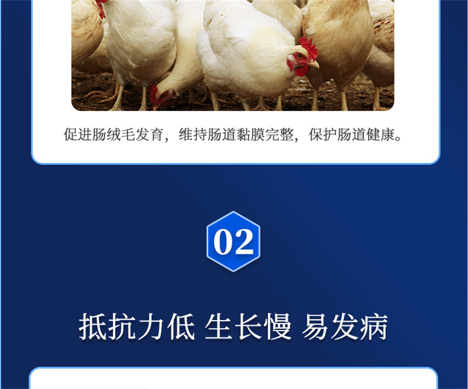 j9����Ʒ�ʶ����������Ӽ�����Ԫ��Ʒ����