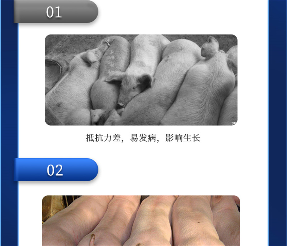 j9����Ʒ�ʶ����������Ӽ�����Ԫ��Ʒ����