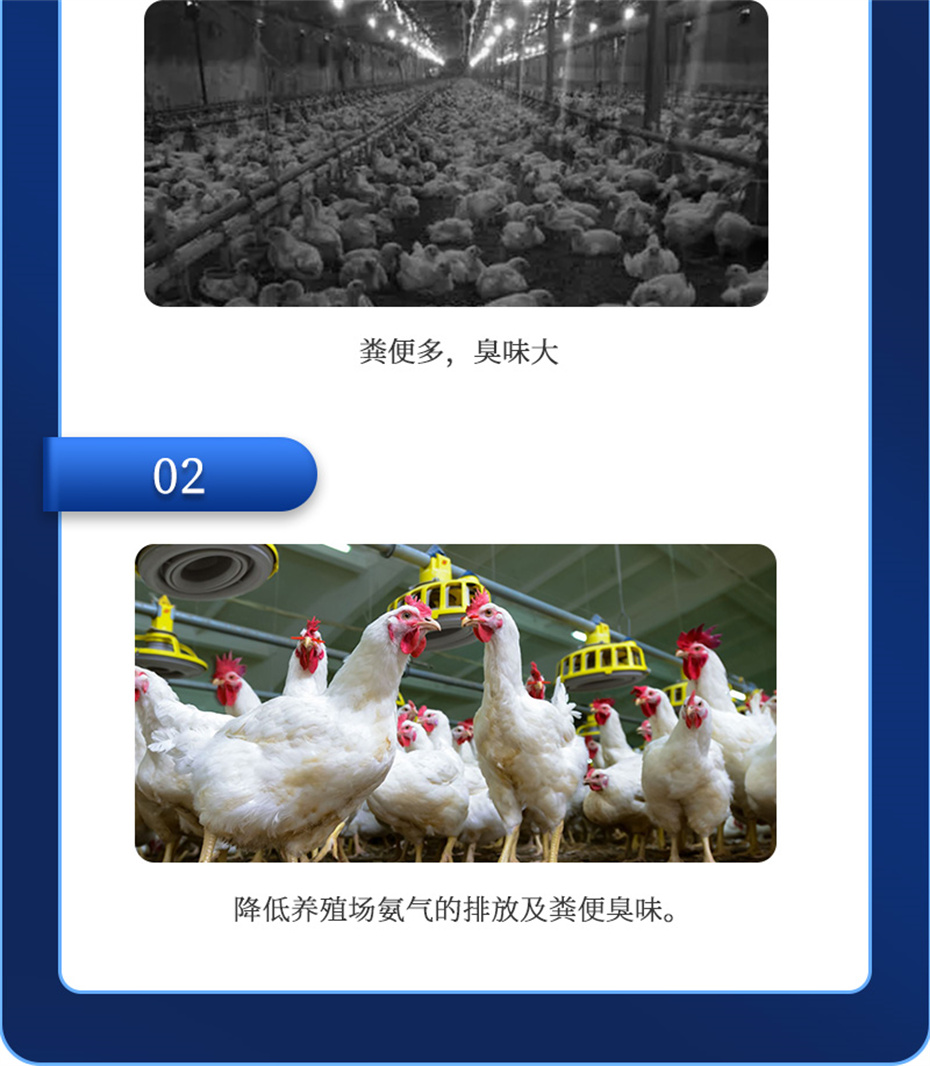 j9����Ʒ�ʶ����������Ӽ�����Ԫ��Ʒ����