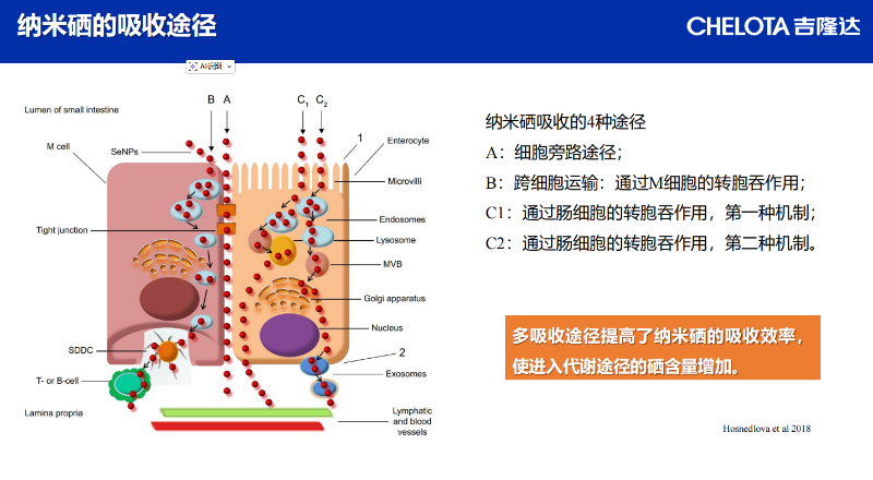 图片5 图片5