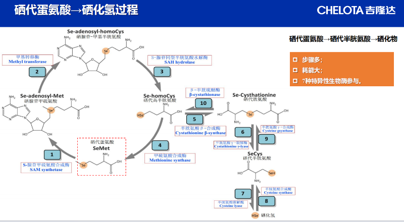 图片8 图片8